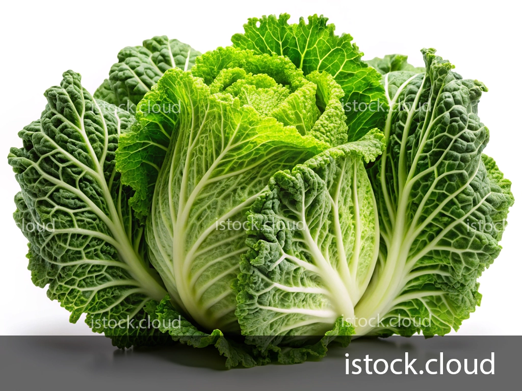 A fresh savoy cabbage with vibrant green leaves and intricate texture, isolated on a white background.