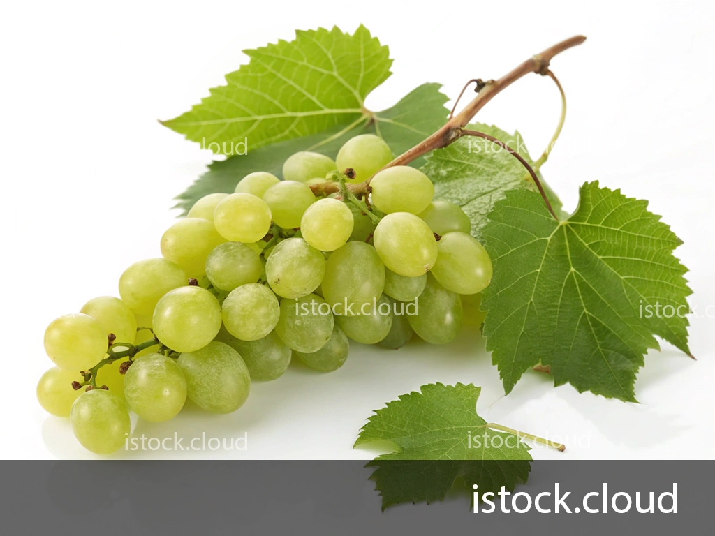 A bunch of fresh green grapes accompanied by green grape leaves, showcased on a white background.
