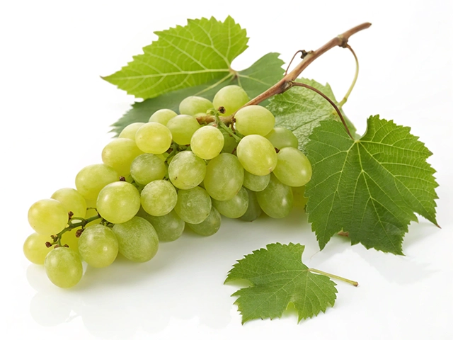 A bunch of fresh green grapes accompanied by green grape leaves, showcased on a white background.