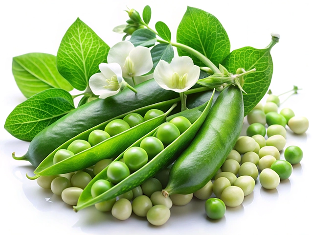 A vibrant composition of fresh green peas in their pods, along with leafy greens and delicate white flowers, set against a white background.