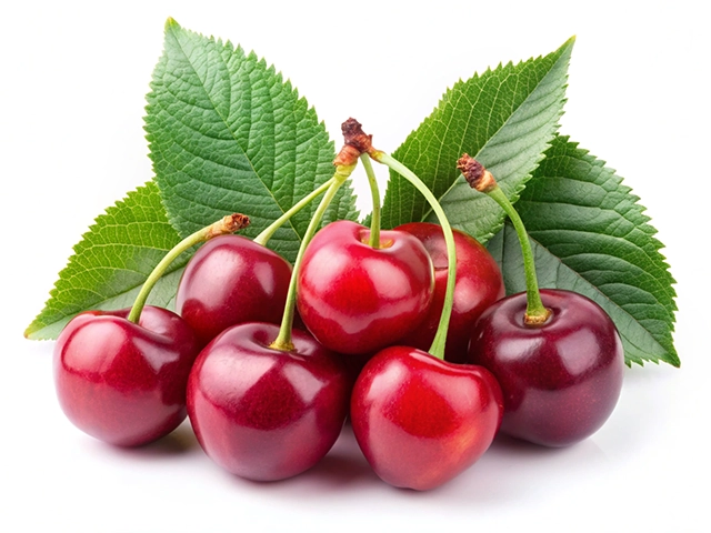 A cluster of fresh, ripe cherries with vibrant red and deep purple hues, accompanied by green leaves. The cherries are glossy and plump, arranged artistically on a white background.