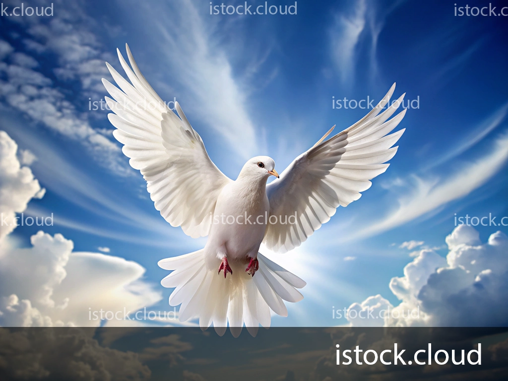 A beautiful white dove soaring against a backdrop of blue sky and fluffy clouds, with its wings outstretched.