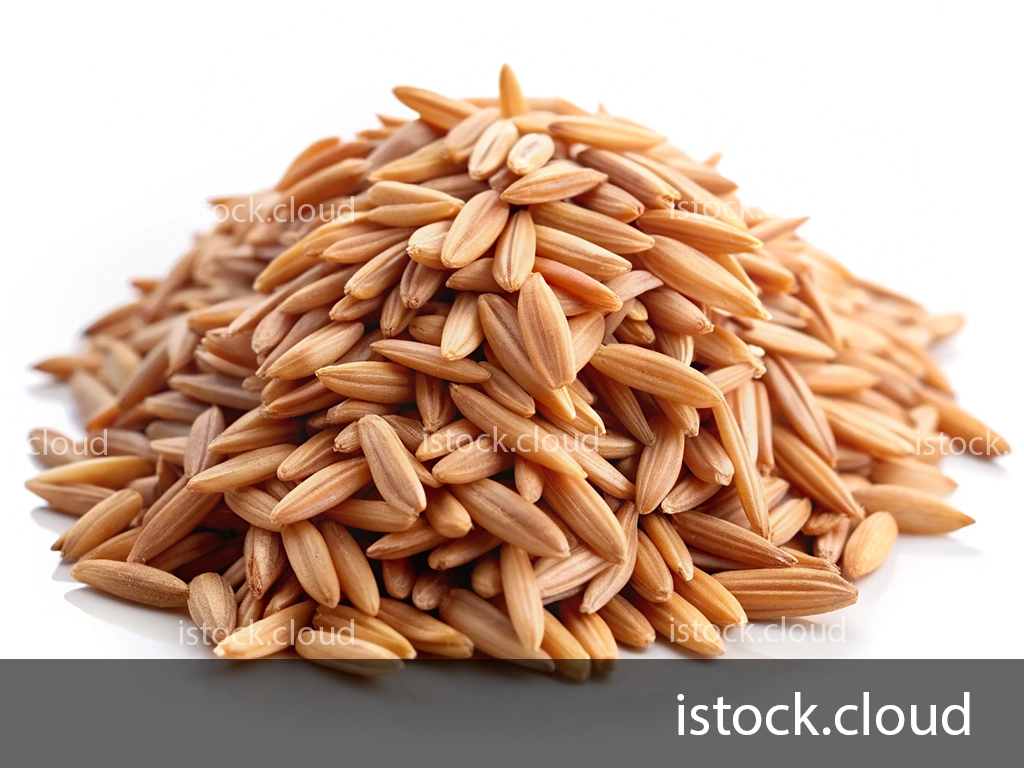 Close-up of a mound of paddy, featuring elongated, light brown texture, set against a white background.