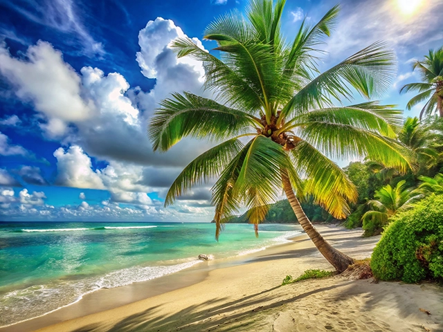 A picturesque beach with sandy shorelines, turquoise waters, and a tall palm tree. Fluffy clouds fill the blue sky, creating a tranquil atmosphere.